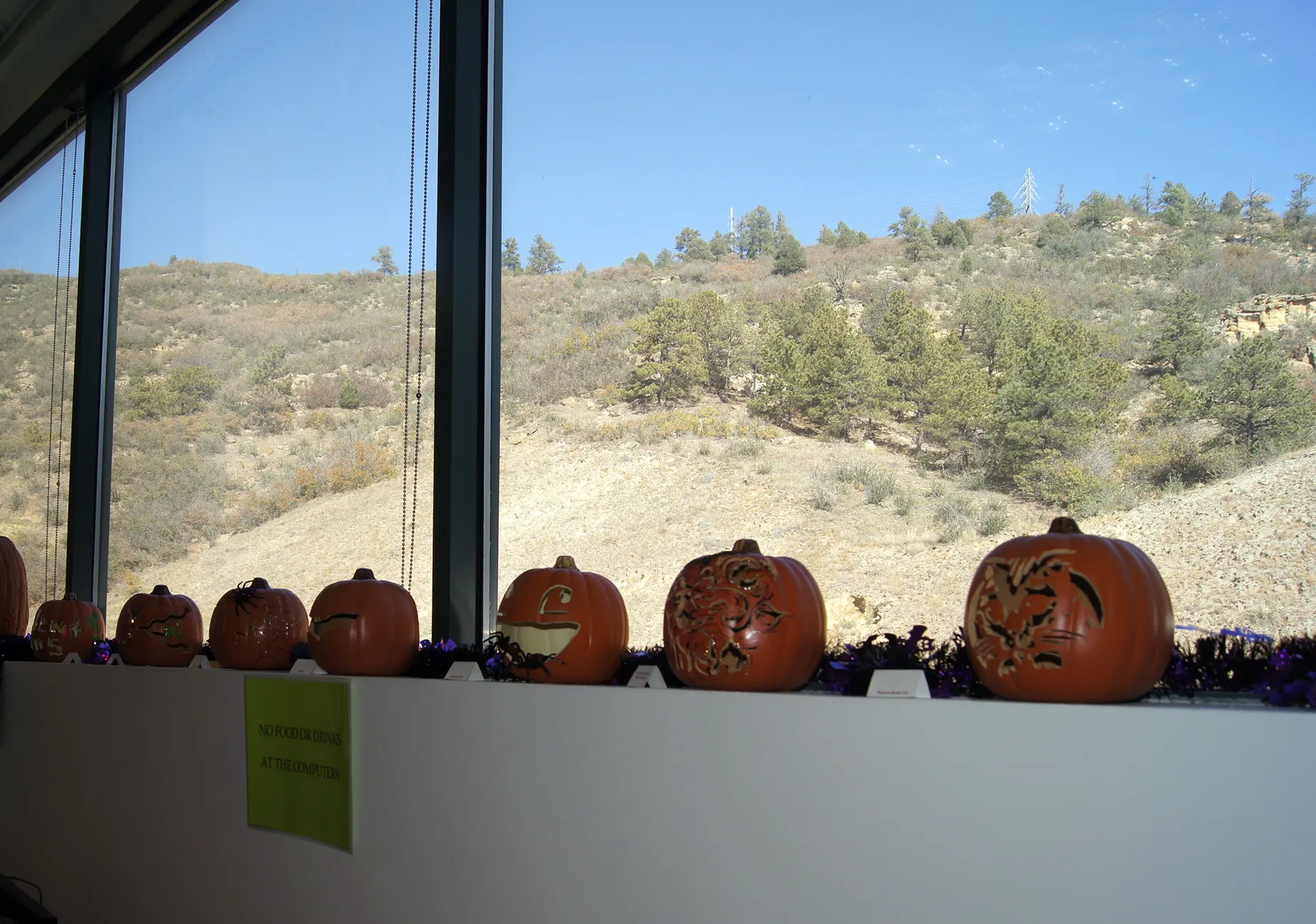 Carved pumpkins on a windowsill